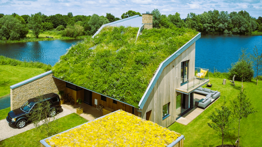 Green Renovations